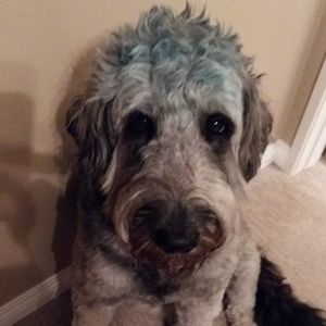 Meet your Posher, Lorraine